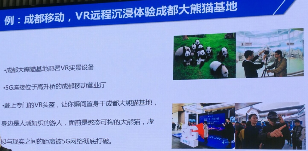 5g_vr_chendu_pandas