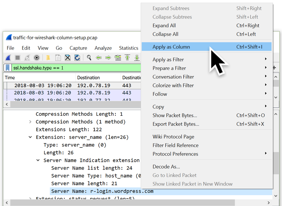 wireshark_screenshot_protocol
