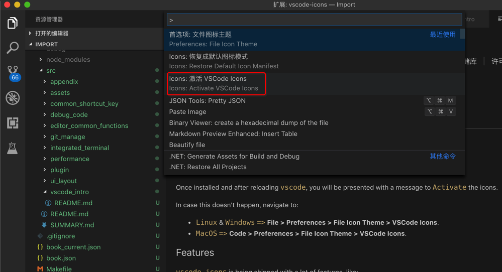 激活vscode-icons