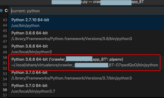 选择用pipenv安装后的python虚拟环境