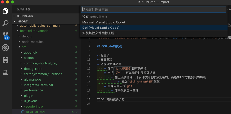 VSCode当前图标主题Seti