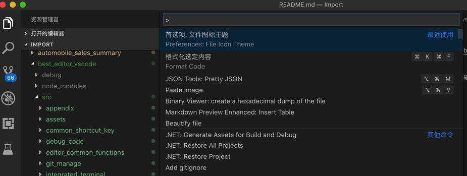 VSCode首选项 文件图标主题