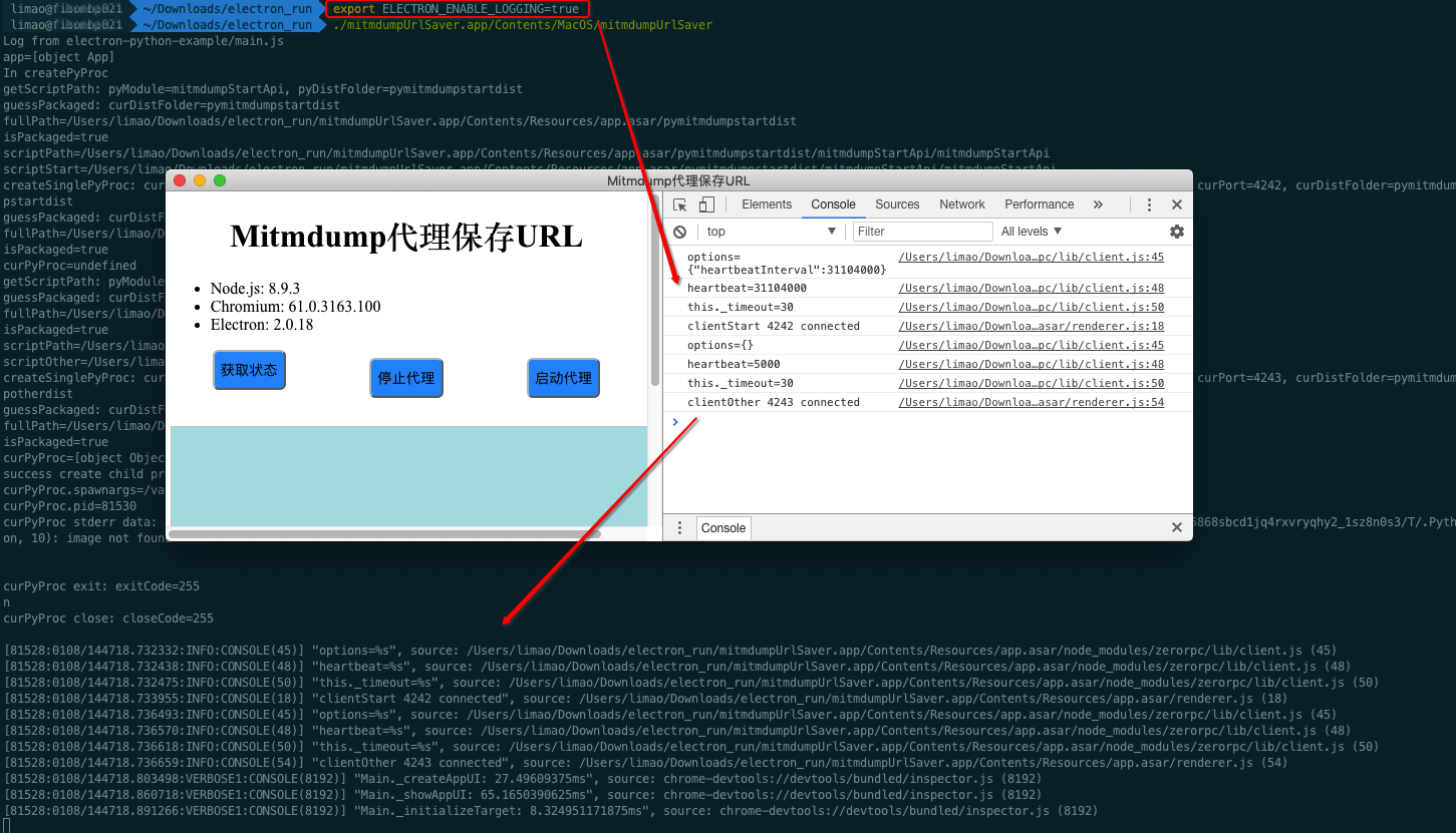 devtools_see_render_js_log