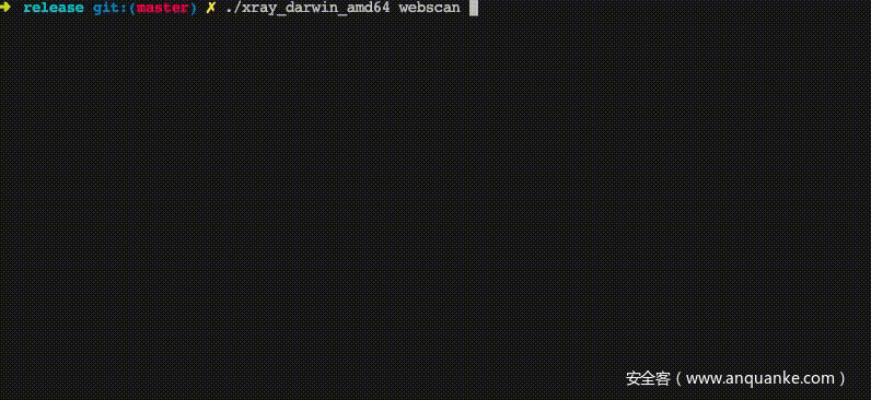 xray_demo