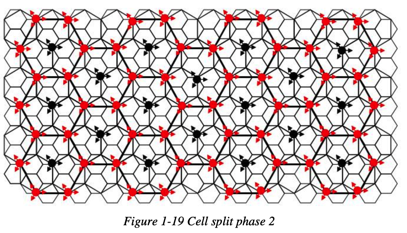 split_cell_phase_2