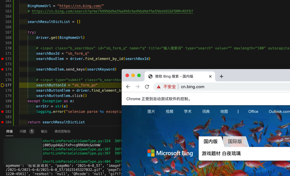 selenium_bing_inputed_str